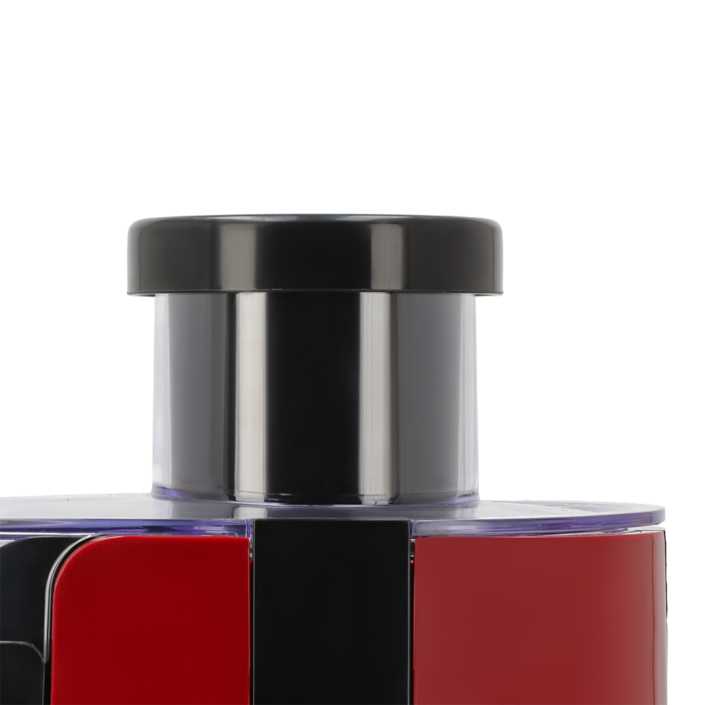 DWHJ Juicer 4002 RB