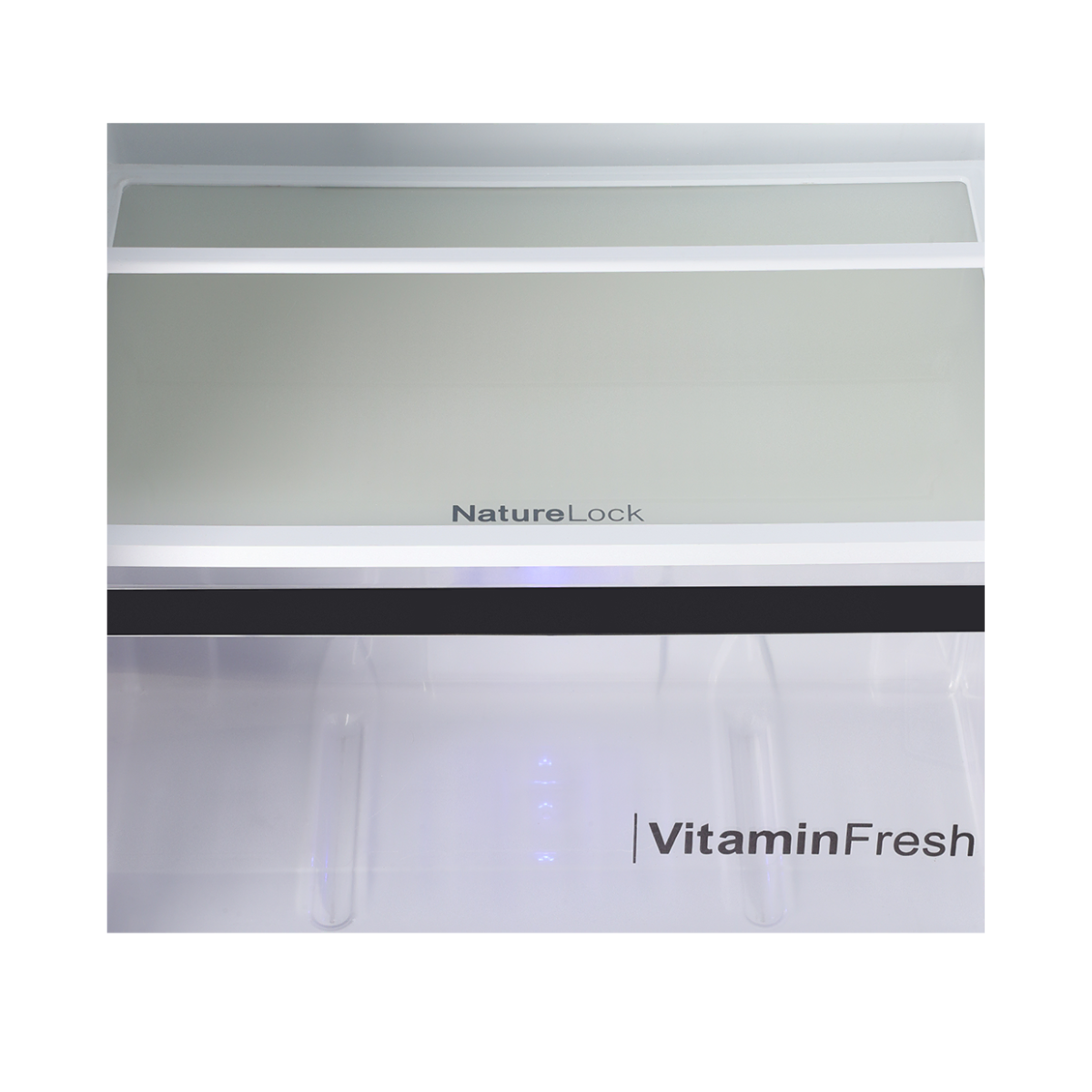 Dawlance 9173WB Avante+ Midnight Green Medium Size Refrigerator